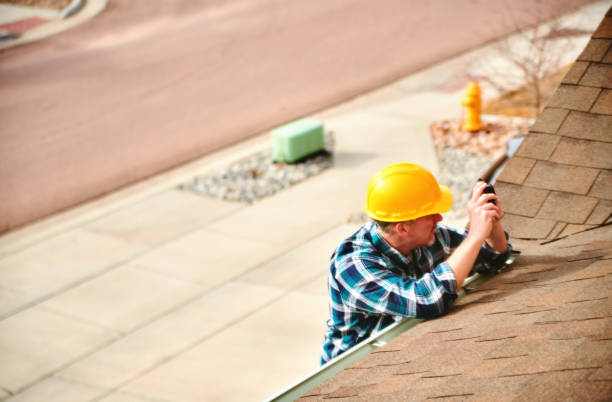 Best Roof Insulation Installation  in Oak Grove, MS